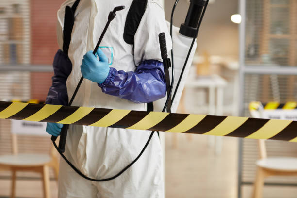 Professional Biohazard technician working in Willow City, TX